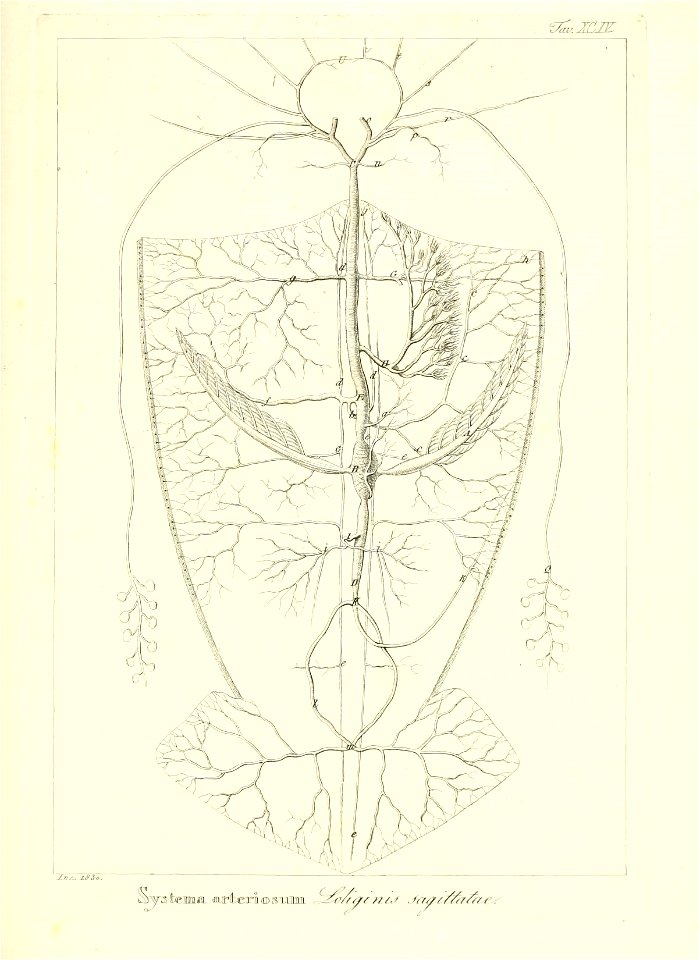 n198_w1150