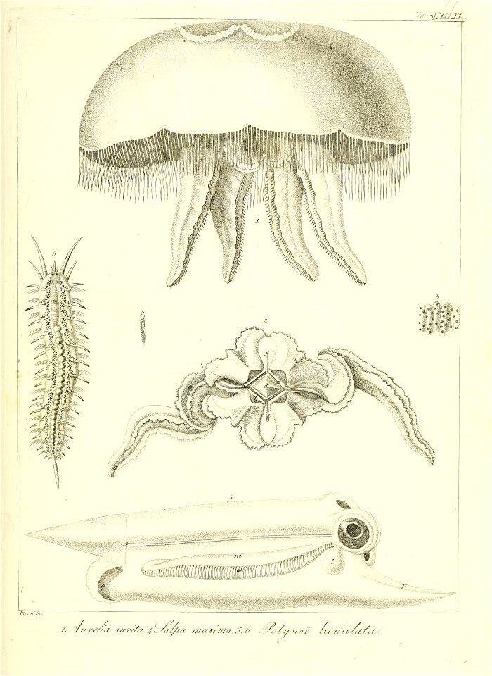 n168_w1150