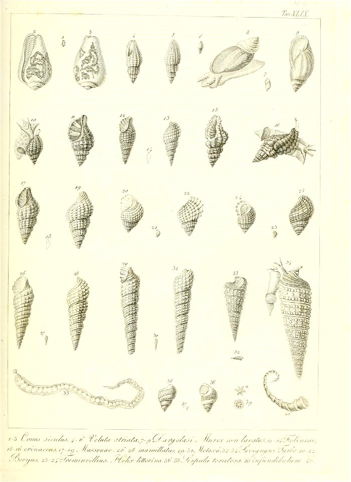 n108_w1150