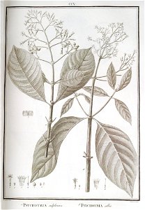 n53_w1150