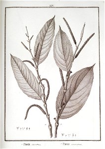 n54_w1150
