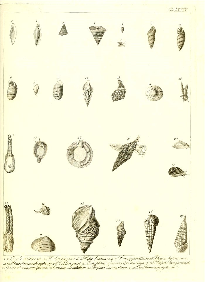 n180_w1150