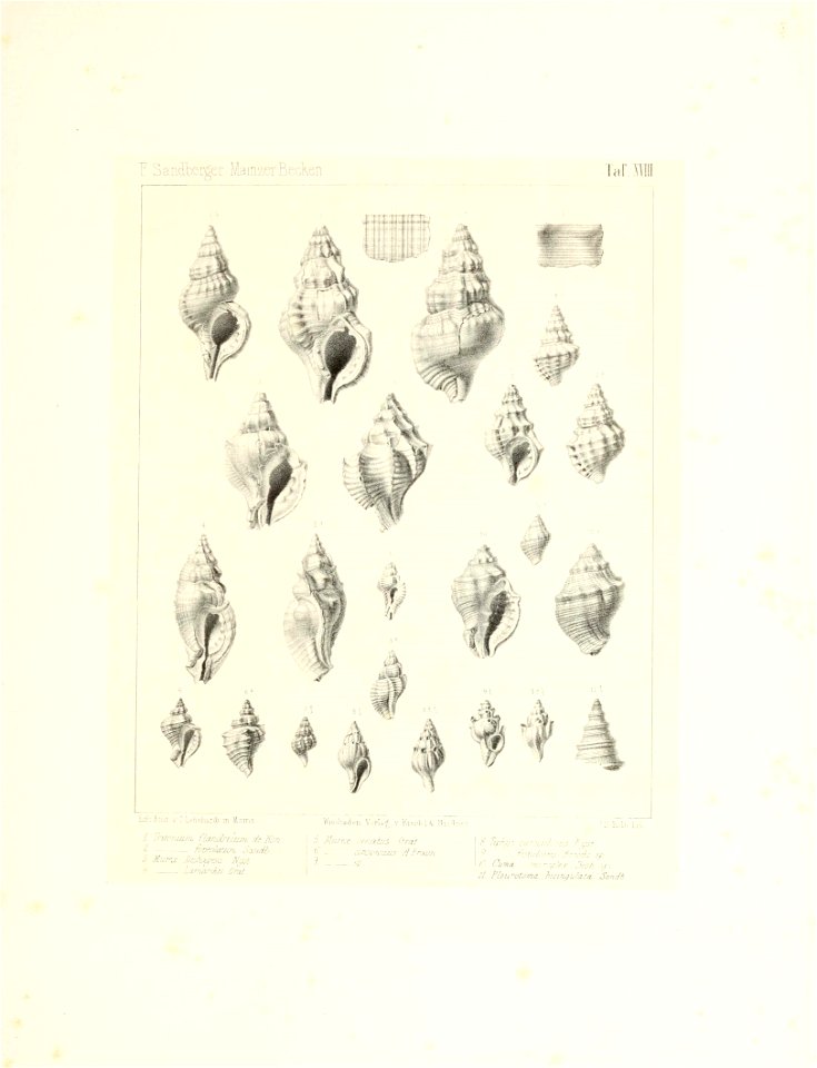 n42_w1150