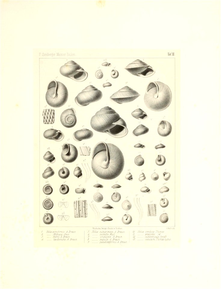 n12_w1150