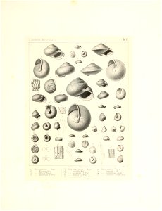 n12_w1150