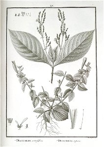n15_w1150