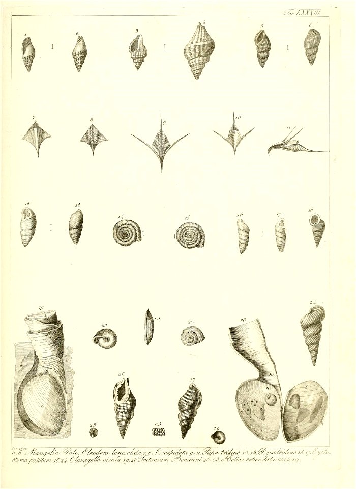 n176_w1150