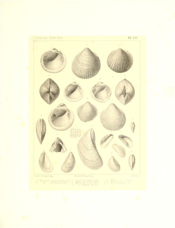 n66_w1150