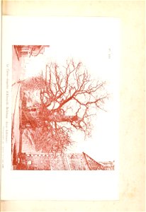 n56_w1150