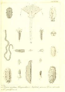 n166_w1150