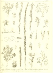 n136_w1150