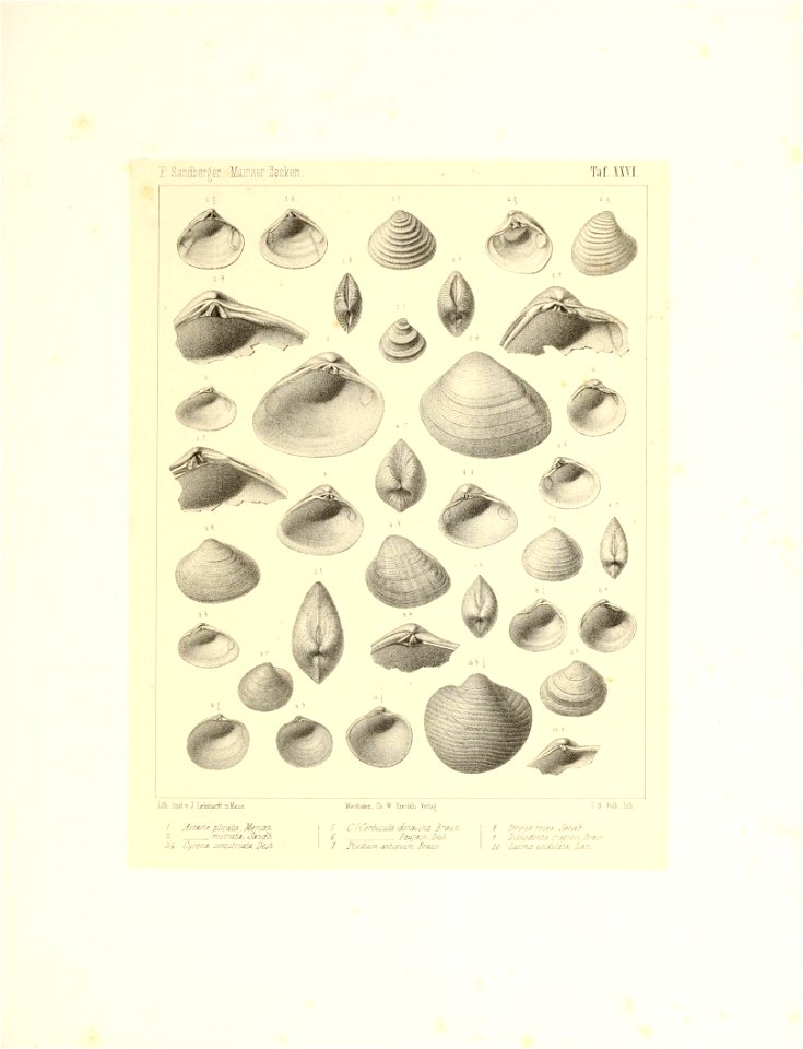n58_w1150