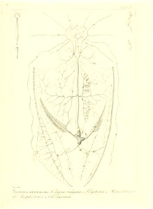 n194_w1150
