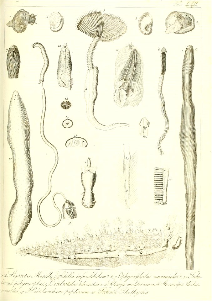 n134_w1150