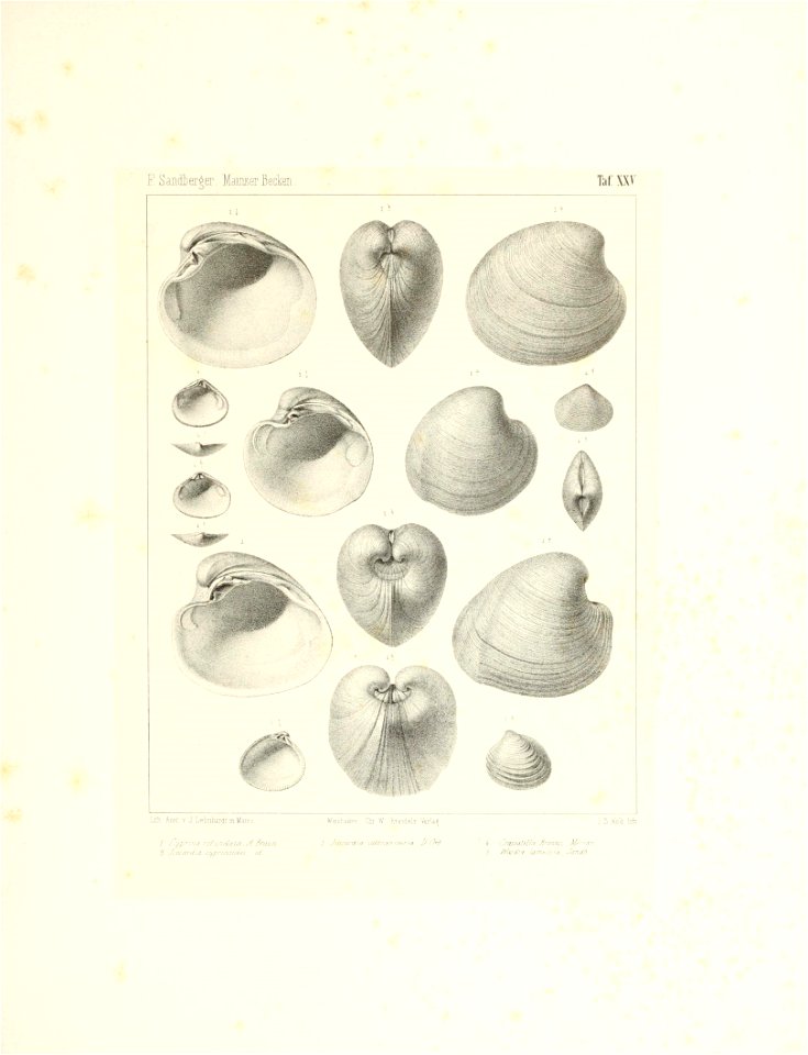 n56_w1150