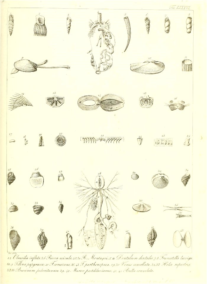 n182_w1150