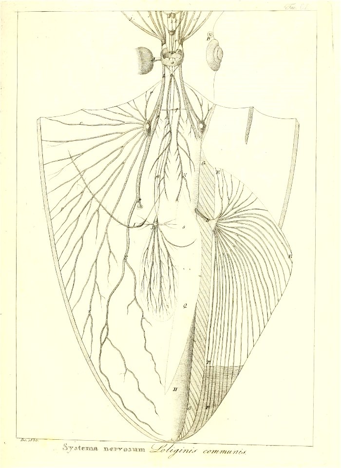 n212_w1150
