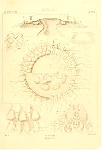 n122_w1150