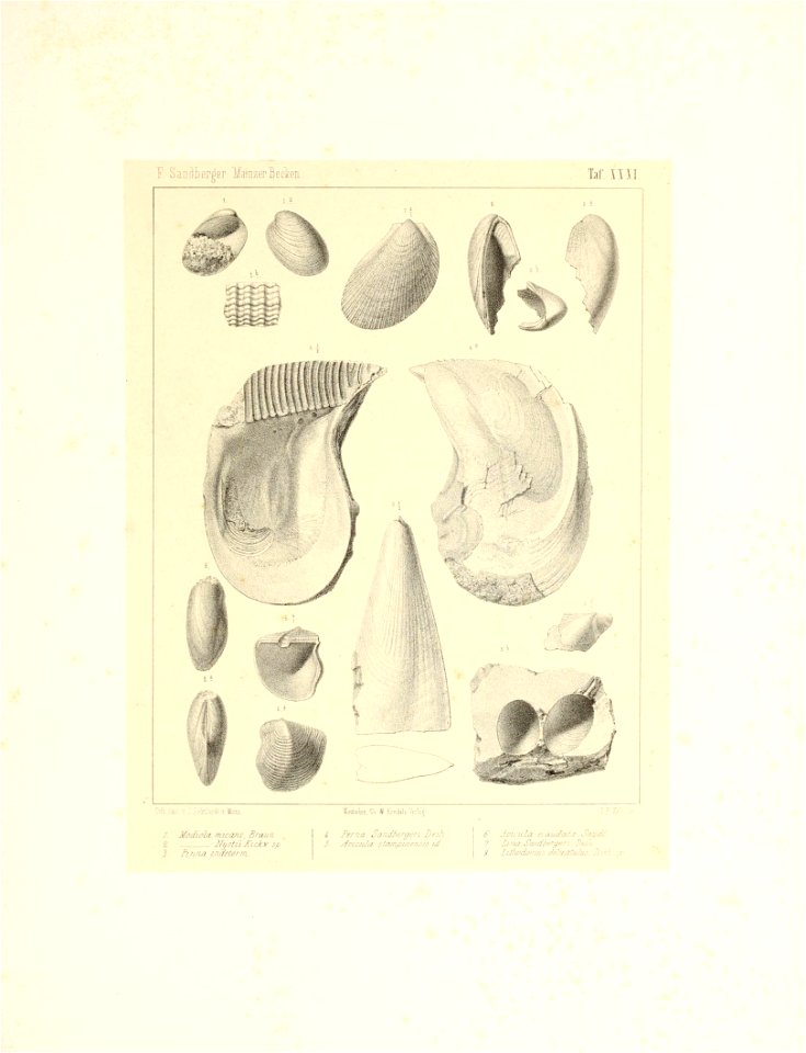 n68_w1150