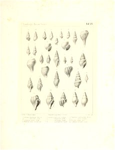 n38_w1150