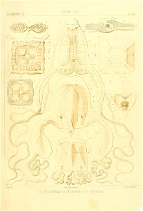 n110_w1150