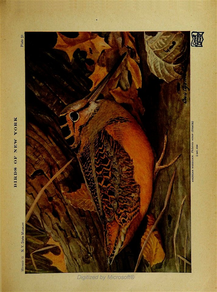 n66_w1150