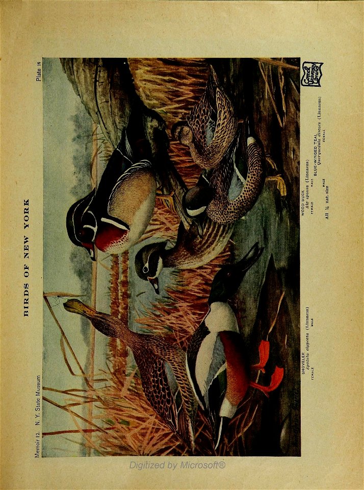 n32_w1150