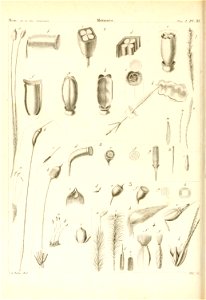n51_w1150