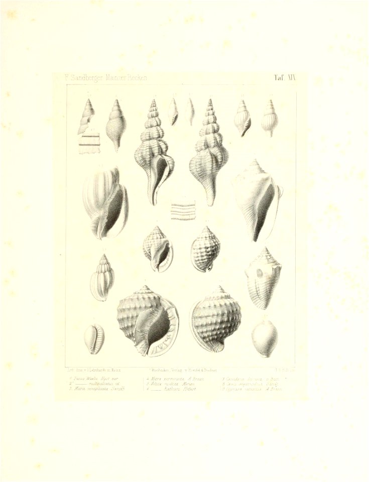 n44_w1150