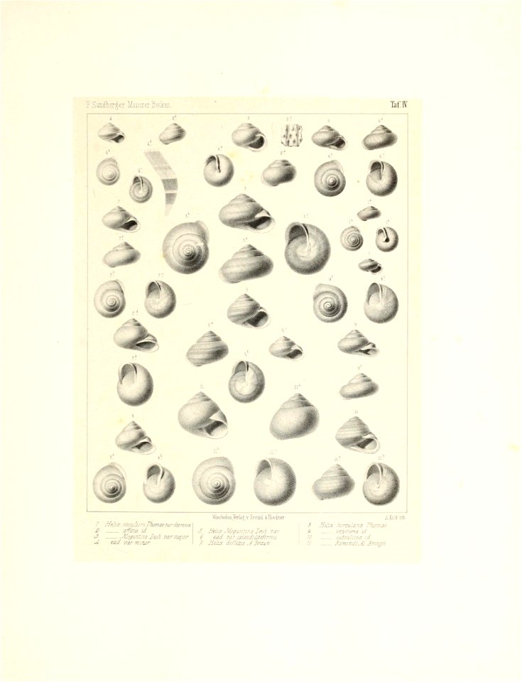n14_w1150