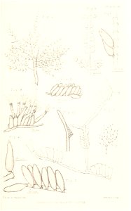 n302_w1150