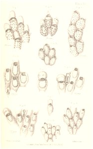 n110_w1150