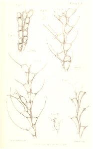 n42_w1150
