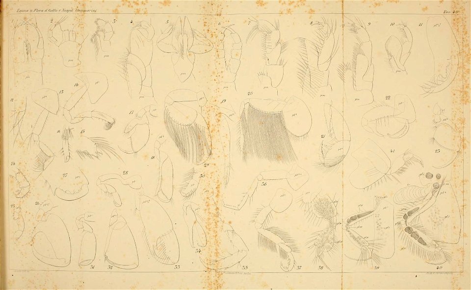 n138_w1150