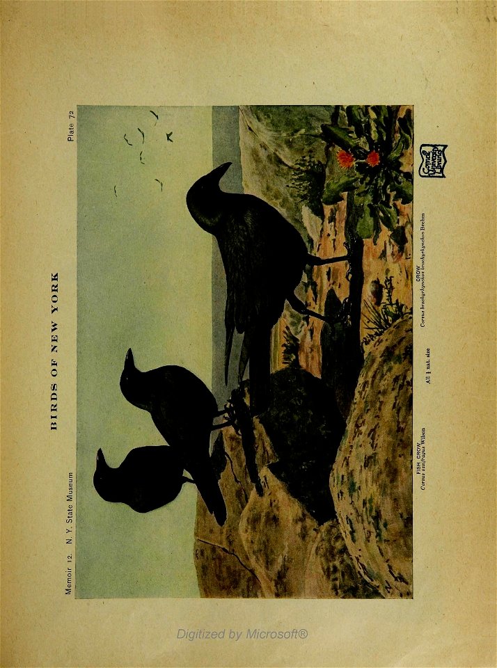 n148_w1150