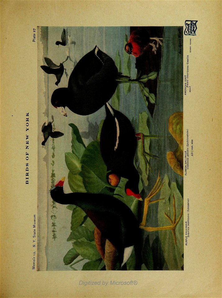 n58_w1150