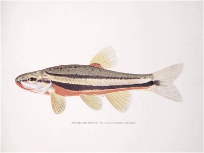 n14_w1150