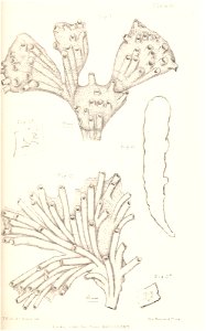 n246_w1150