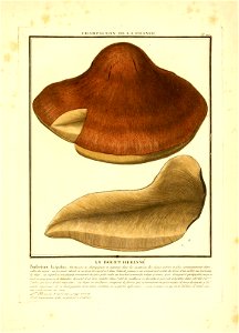 n38_w1150