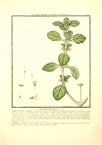 n46_w1150