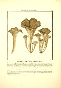 n16_w1150