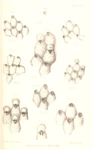 n174_w1150