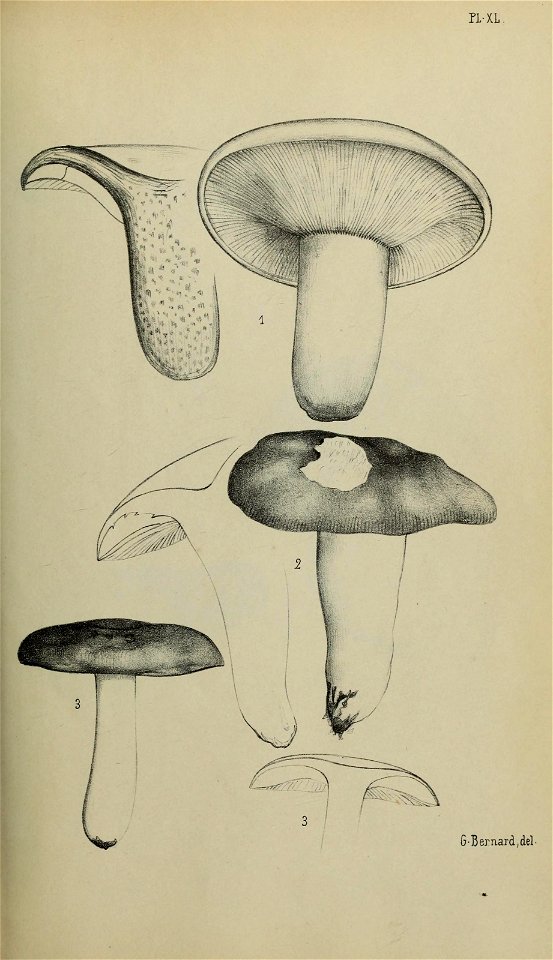 n88_w1150