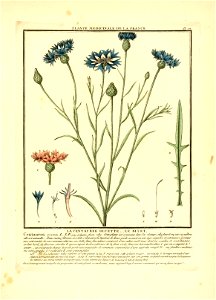n58_w1150