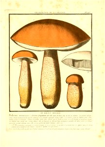 n88_w1150