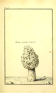 n120_w1150