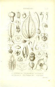 n56_w1150