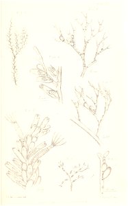 n298_w1150