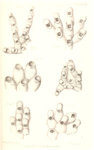 n178_w1150