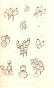 n118_w1150